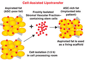 유바외과는 이렇게 합니다